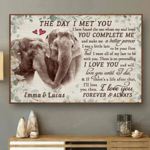 Customized Elephant Couple Canvas, The Day I met You Wall Art For Husband & Wife